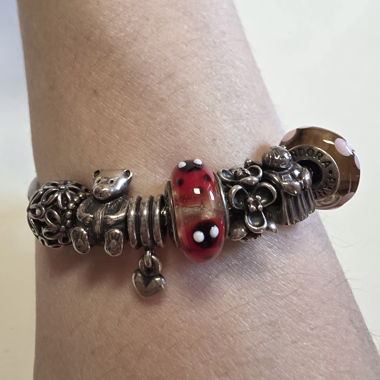 Pandora bracelet with charms 