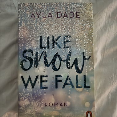 Like Snow We Fall Roman