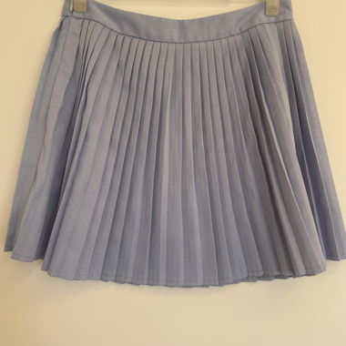 blue pleaded  skirt