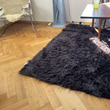 Carpet 