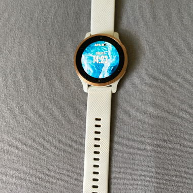 Smartwatch Garmin Venu 2S