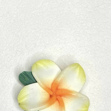 Weißer Frangipani Blüten Kettenanhänger