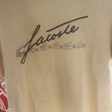 Lotto di t-shirt (Kenzo, Obey, Lacoste)