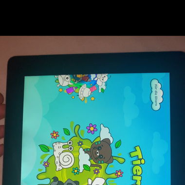 IPAD Apple