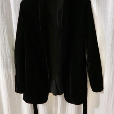 Velour / Samt Zara Blazer
