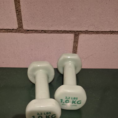 1kg Hanteln