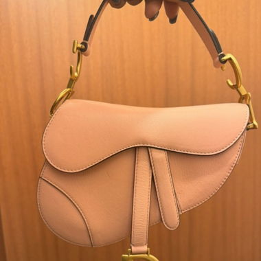 Dior saddle (mini)