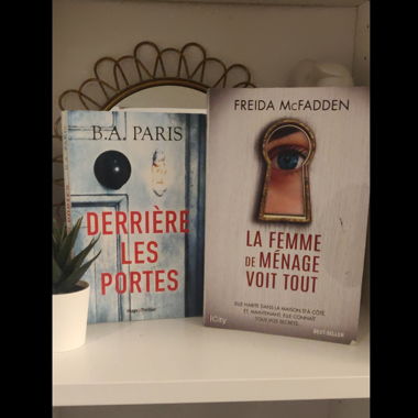 Lot de livres type Thrillers 