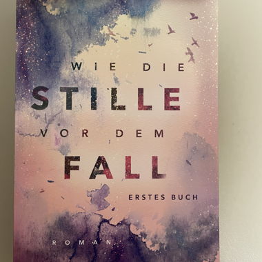 wie die Stille vor dem Fall, erstes Buch