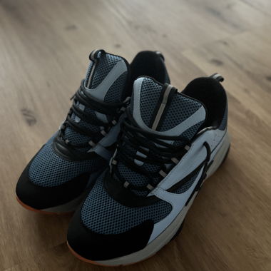 Dior B22