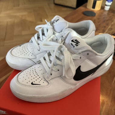 Nike SB Force 58