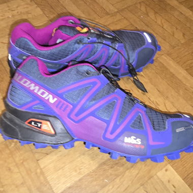 Salomon Hiking Shoes