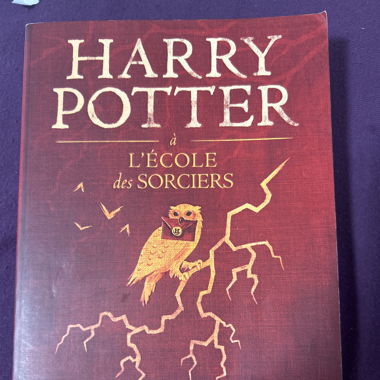 Harry potter a l’école des sorciers-livre