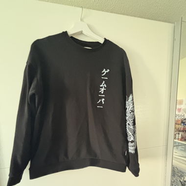 Pullover mit Drachenmotiv