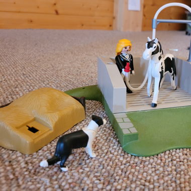 Playmobile