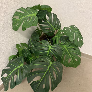 Plante artificielle Monstera dans un panier