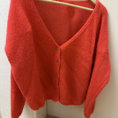 Veste