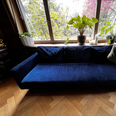 dark blue velvet couch