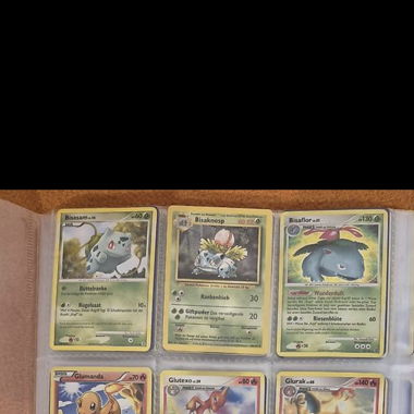 Sortierte Pokemon Karten (Reverse, Holo, etc.)