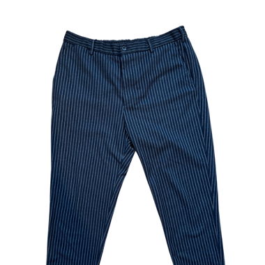 Anzugs Hosen 