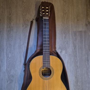Gitarre Ariana mit Lederbag