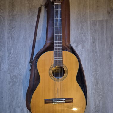 Gitarre Ariana mit Lederbag