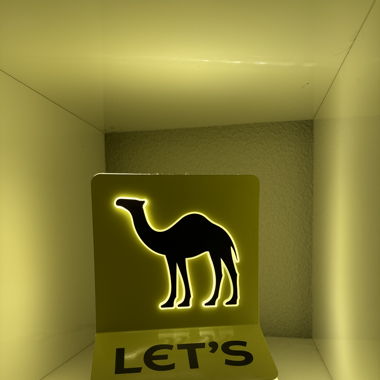 Camel cigarettes light