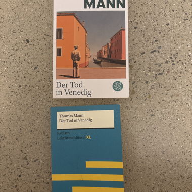 Lot de livres Thomas Mann « La Mort à Venise »