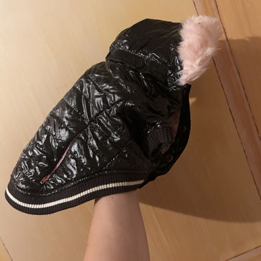 Manteau à capuche PUPPIA