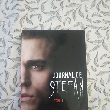 Journal de Stefan - tome 1 