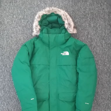The north face 550 parka dryvent 