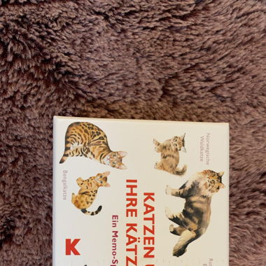 Memo-Spiel Katzen