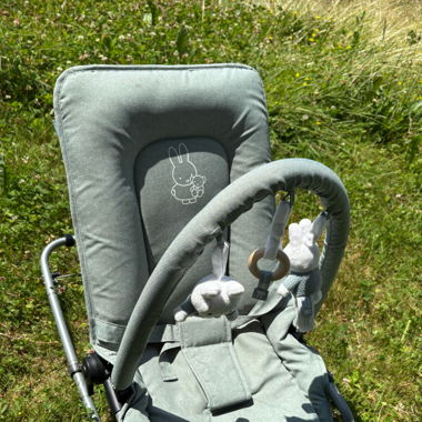 Nijntje Baby Swing
