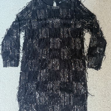 Zara Sequin Dress