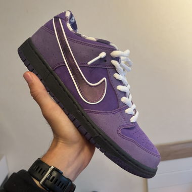 Nike Dunk SB Purple Lobster