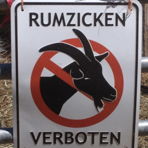 Zogga