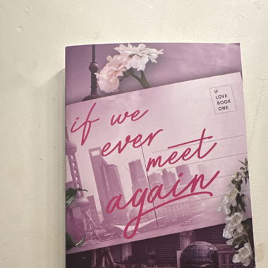 If we ever meet again Book