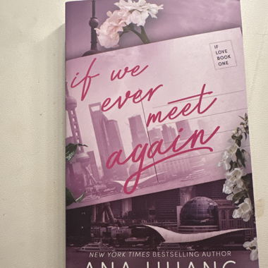 If we ever meet again Book