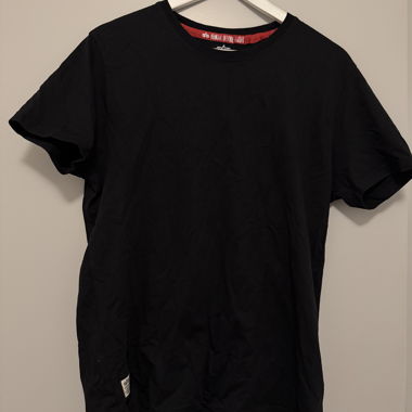 Alpha Industries T-Shirt Dragon