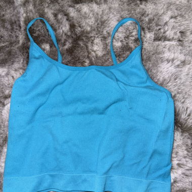 FB Sister Crop Top