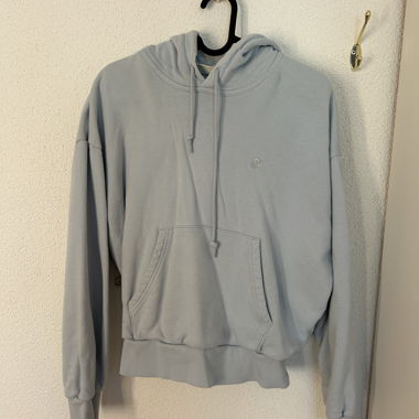 Felpa con cappuccio Carhartt celeste