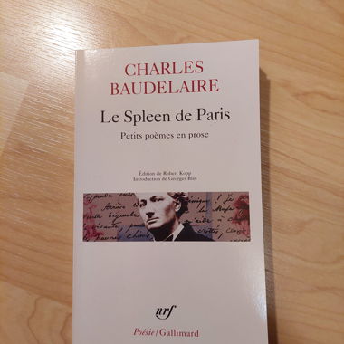 Le Spleen de Paris - Charles Baudelaire