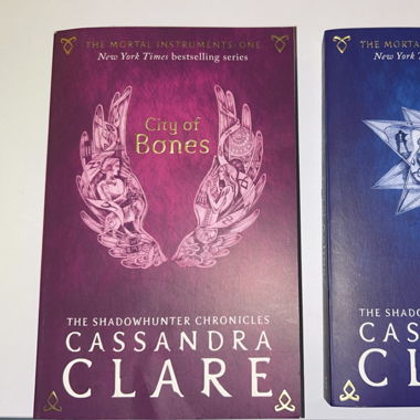The Shadowhunter Chronicles Band 1&2