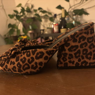 Leo Slippers