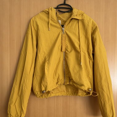 Jackette fine jaune 
