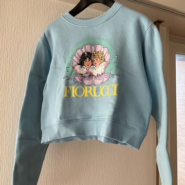 Special Edition Crop Sweater
