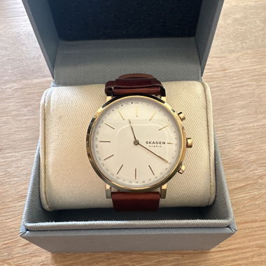Skagen Hald Connected Hybrid Smartwatch