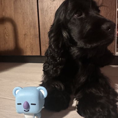 Figura POP KOYA BTS