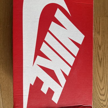 Nike Dunk Hi Retro