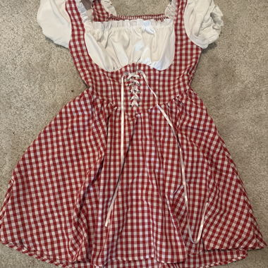 Kostümkleid im roten Gingham